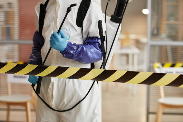 Professional Sewage Cleanup technician working in Delano, CA